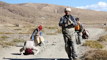 15 Days Mount Kailash & Saga Dawa Festival Pilgrimage Tour (Ali First, then Everest, with Lakefront Stay)
